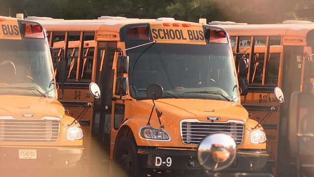 A row of school buses 