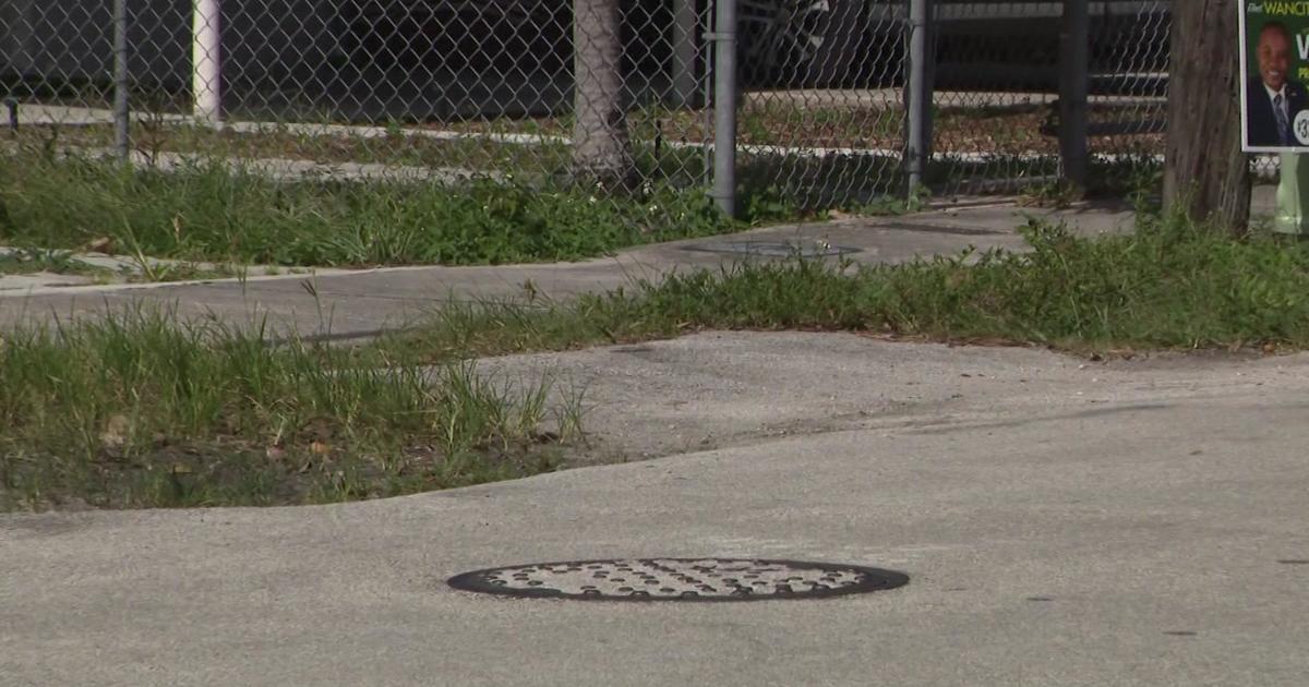 Petition demands that Miami Gardens stop threatening residents over gravel and grass