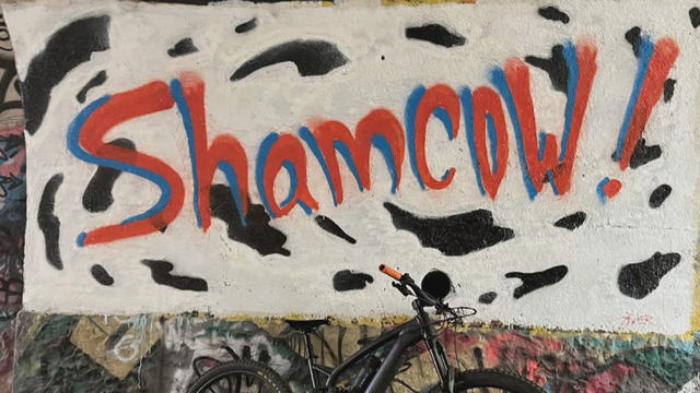 ShamCow tag in Philadelphia 