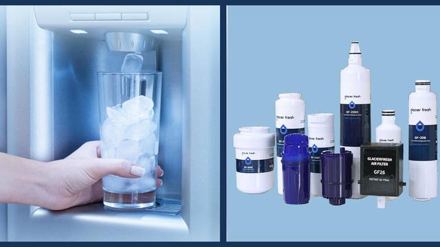 How often should you change your refrigerator's water filter? 