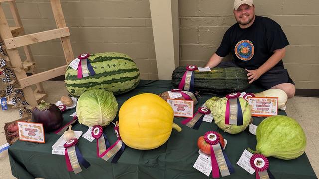 kdka-justin-lint-washington-county-fair-vegetables.jpg 