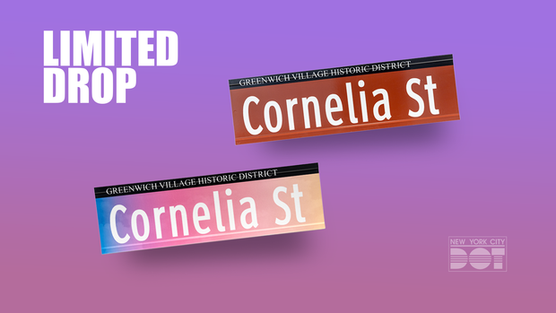 nyc-taylor-swift-cornelia-street.png 