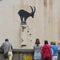 Banksy leaves 9 new animal-themed murals across London