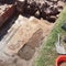 Ancient fish mosaic found in buried city: Aquarium frozen in stone
