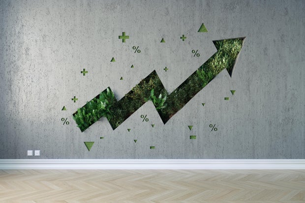 Growing graph on the wall interior