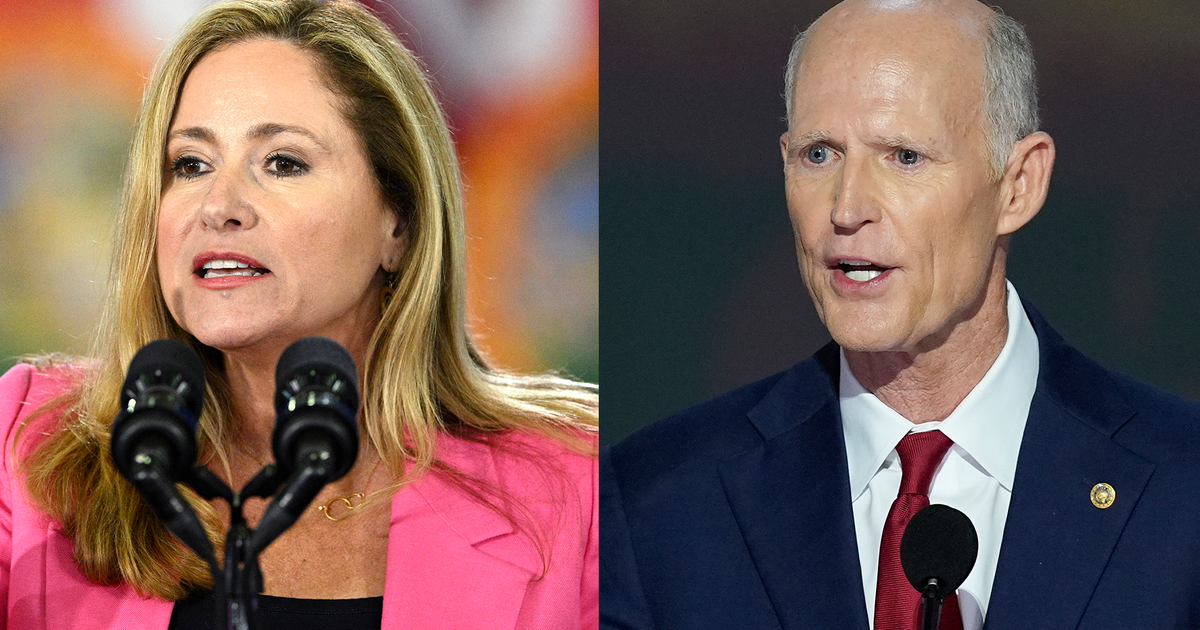 Florida primary will set US Senate race but largely focus on state and local races