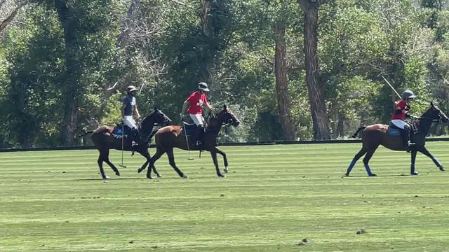 denver-polo-club-2.jpg 