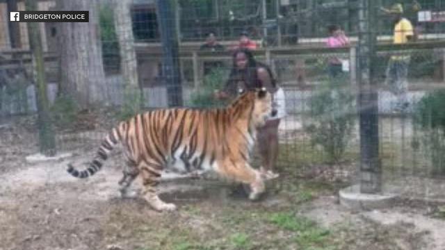 bridgeton-new-jersey-police-cohanzick-zoo-tiger-suspect.jpg 