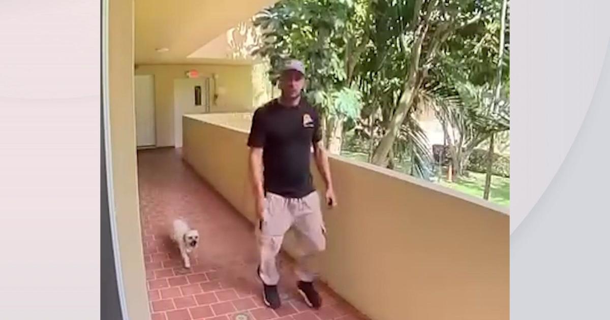 Police arrest man seen on video kicking small dog in North Miami Beach