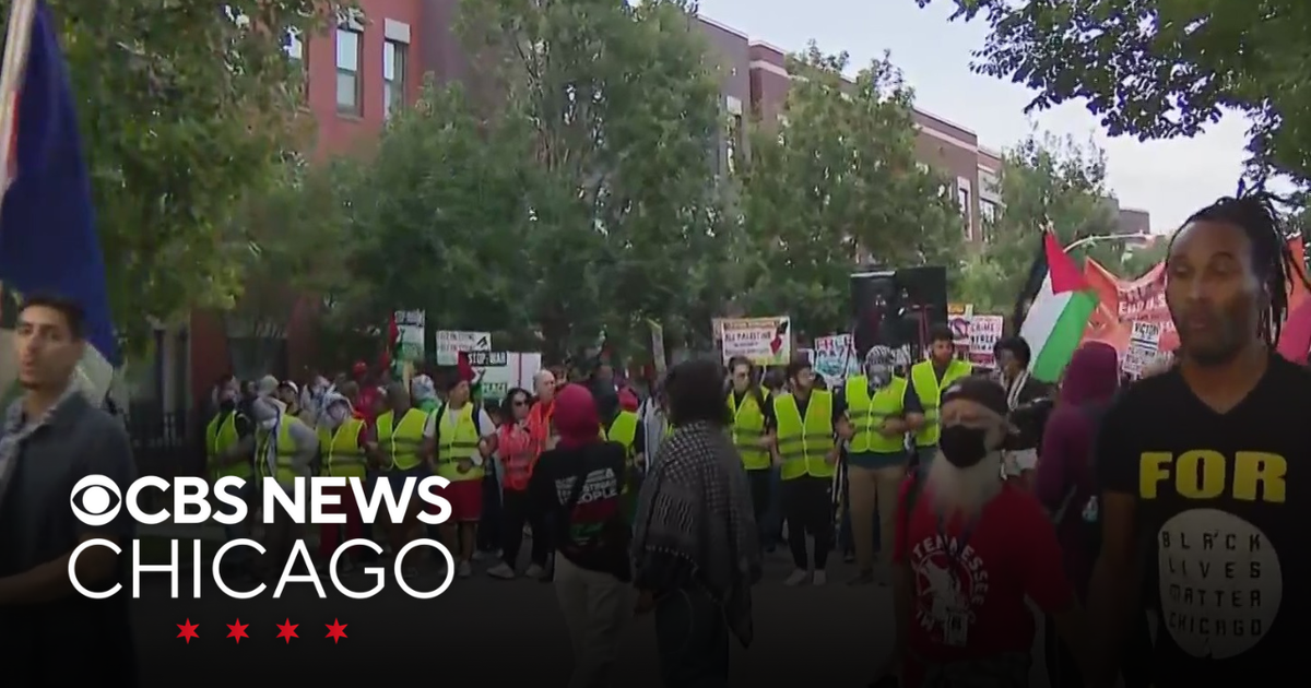 Protestors rally on final night of Democratic National Convention - CBS ...
