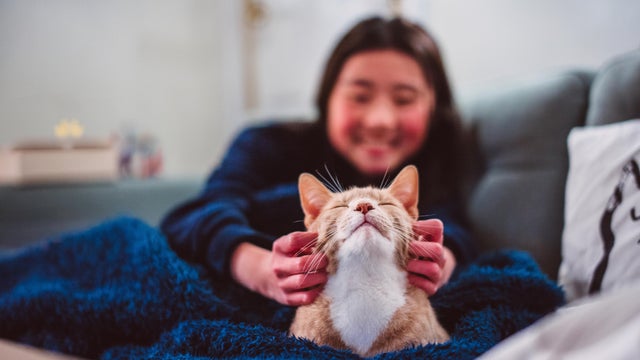 Cheerful teenage girl scratching her ginger tabby cat's face while sitting with blanket on sofa together at night. Love and care for pets, enjoying bonding time with pet cats. 