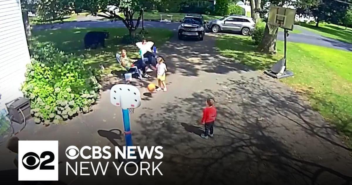 Video shows Connecticut family running as bear strolls across lawn