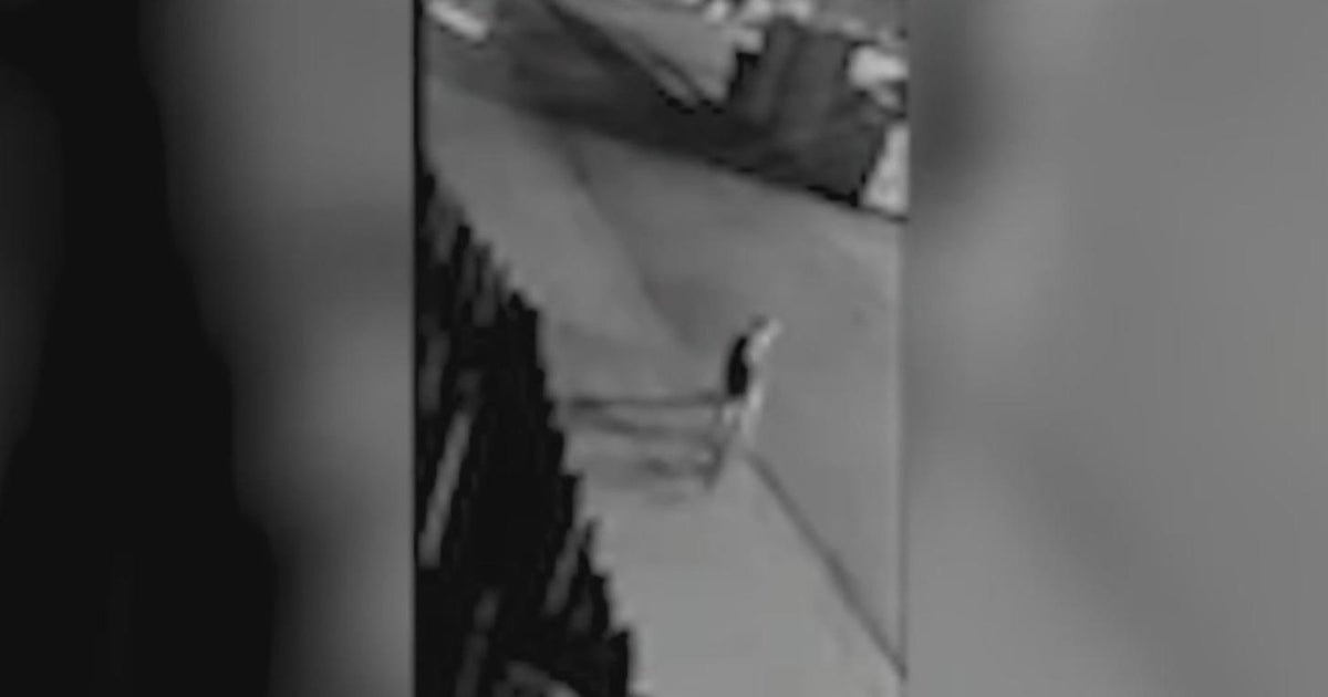 Video catches mountain lion walking through downtown Vacaville