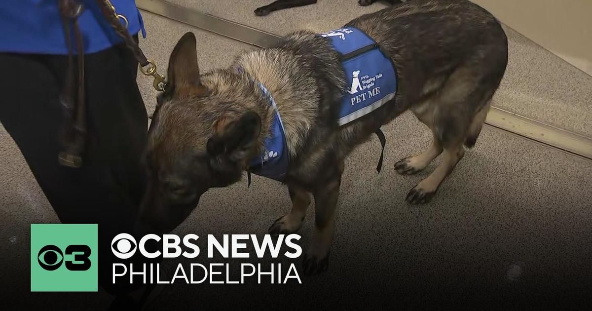 Philadelphia airport Dog Day