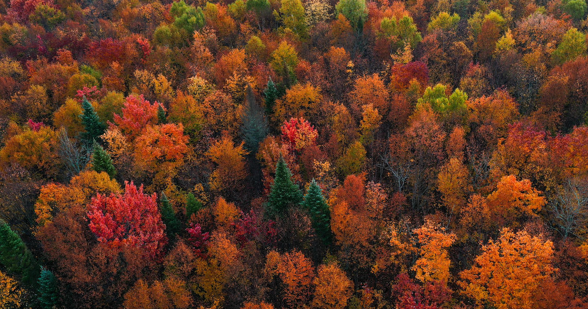 Fall Foliage Season Begins in the U.S.