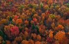 Fall foliage in Vermont 