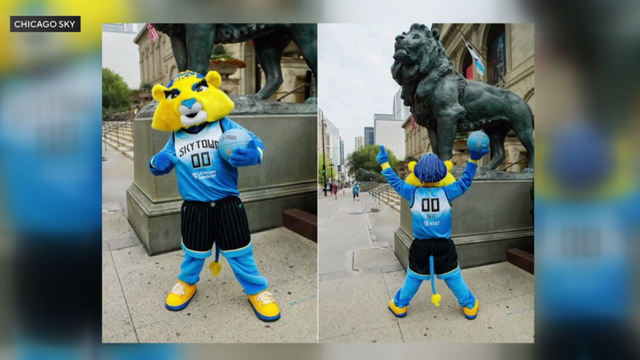 chicago-sky-new-mascot.png 