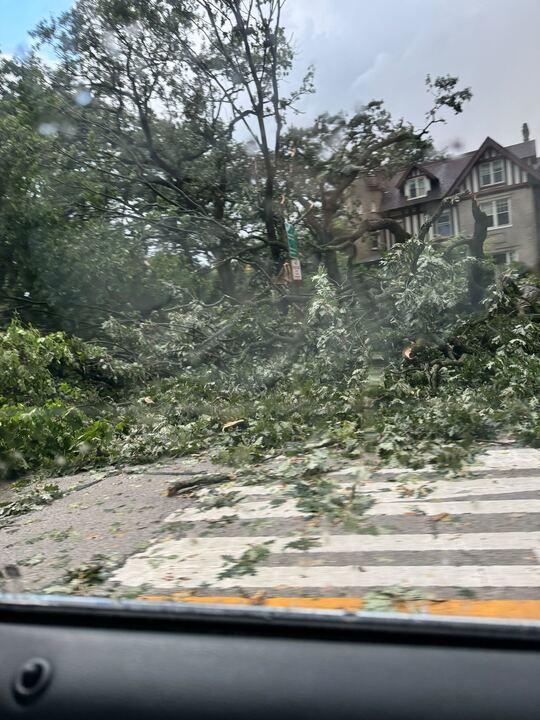 Storms bring heavy rain and strong winds, take down trees, knock out ...