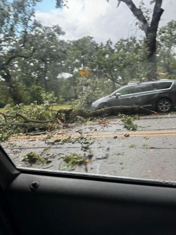 evanston-tree-damage-1.jpg 