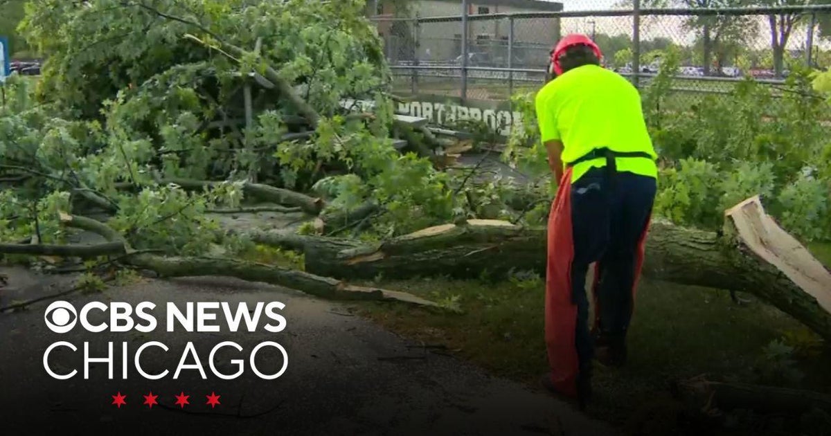 Northern suburbs cleaning up storm damage - CBS Chicago