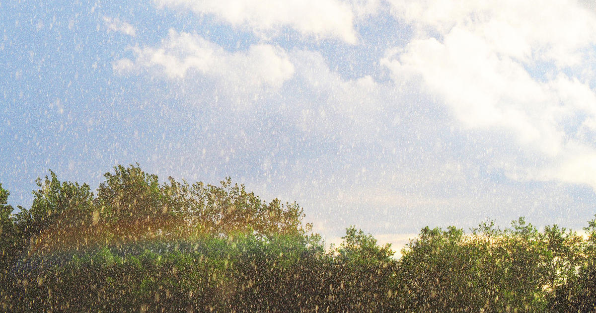 Scattered showers and storms in the afternoon for North Texas