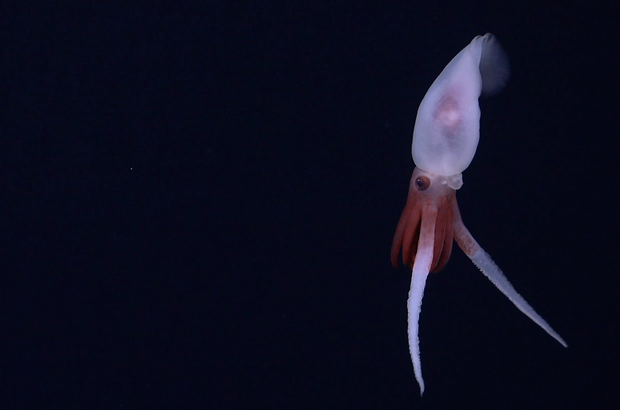 captura de tela-2024-08-29-at-8-38-25-am.png