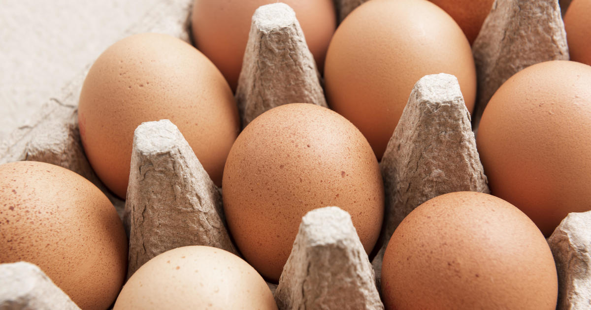 Salmonella Outbreak Linked to Wisconsin Eggs Widens