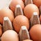 U.S. egg industry sees record chicken deaths from bird flu outbreak