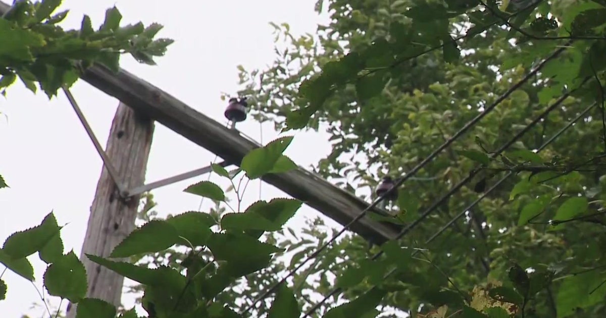 Neighbors mourn Detroit man who was electrocuted by downed wire - CBS ...