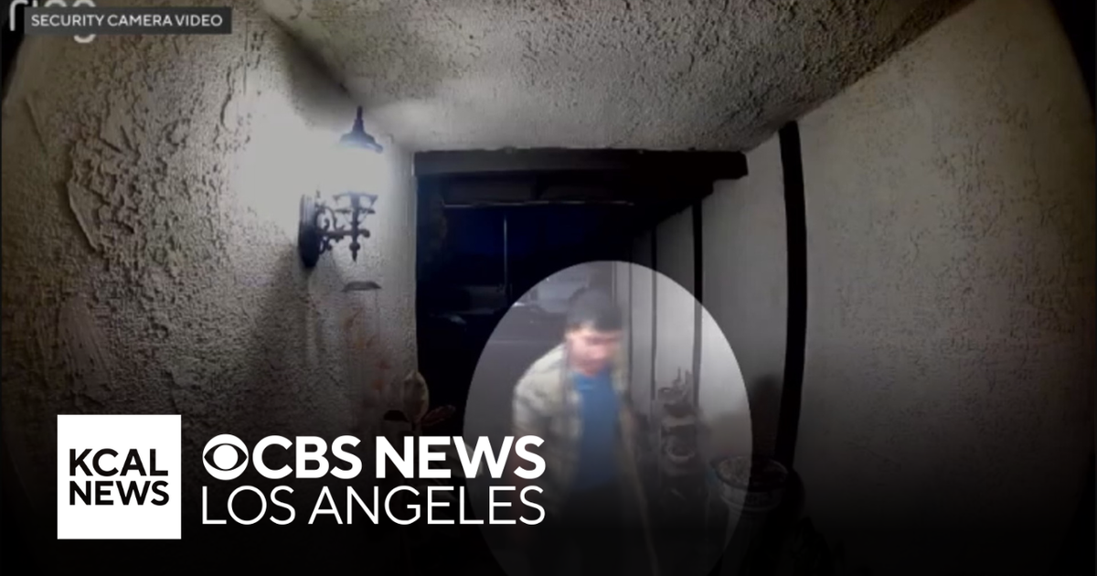 Burglary suspect stabbed by Winnetka homeowner - CBS Los Angeles