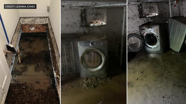 Photos show floodwaters and mud inside a Milford, New Jersey home in 2021. 