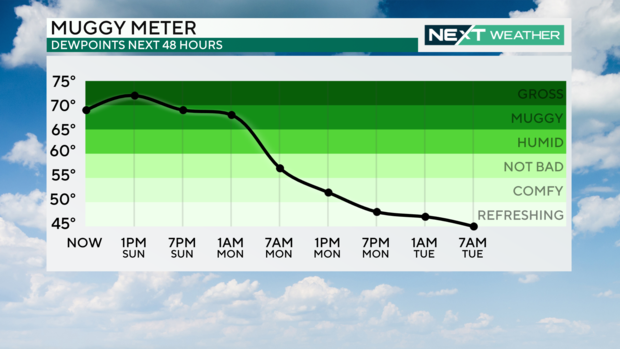 Dewpoint forecast 