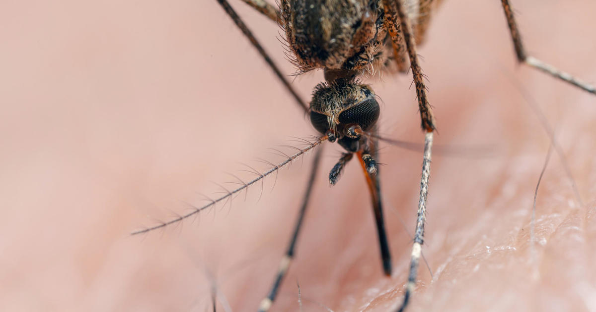 Are mosquito-borne diseases becoming more common in Minnesota?