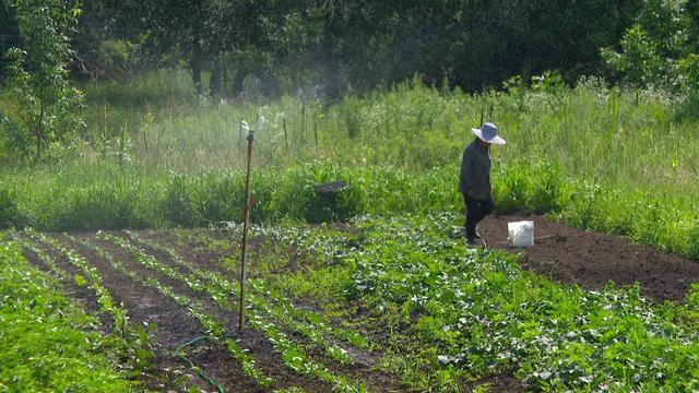 4p-pkg-big-river-farms-wcco625a.jpg 