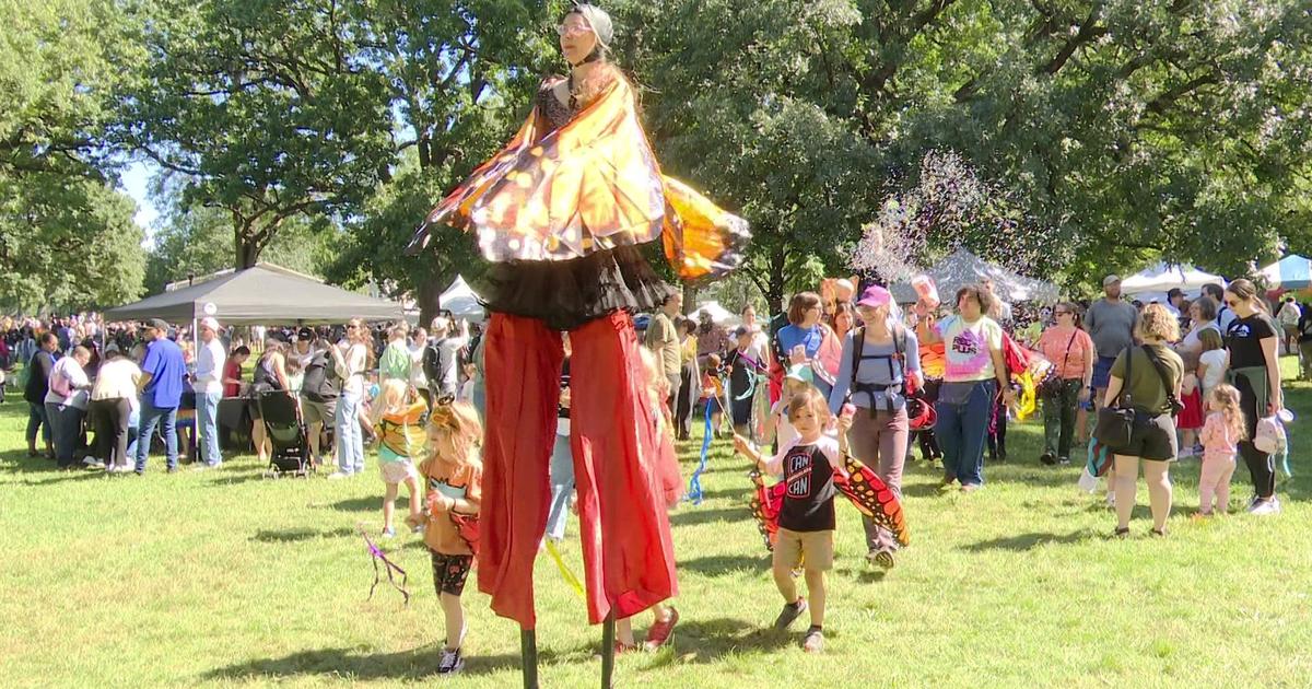 Monarch Festival celebrates spectacular migration, but iconic butterfly numbers have fallen