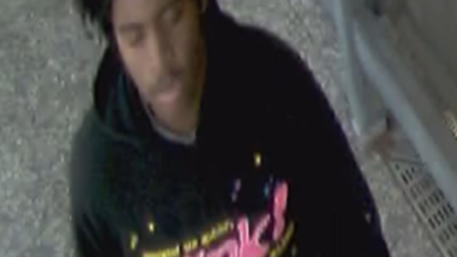 cta-green-line-robbery-suspect.png 