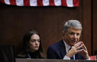 Committee Chairman Michael McCaul speaks during a House Committee on Foreign Affairs hearing on Capitol Hill on January 11, 2024 in Washington, DC. 