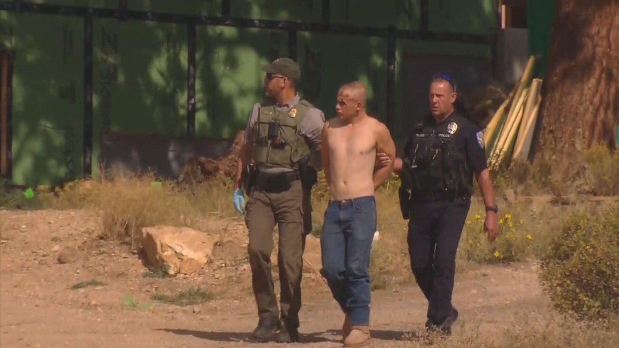Suspect appears in court after pursuit, crash in Colorado's Rocky ...