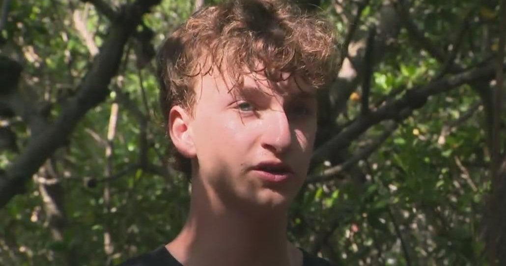 South Florida man plants mangroves to repair damage done by strong storms