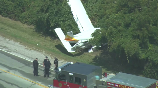 roselle-plane-crash.png 