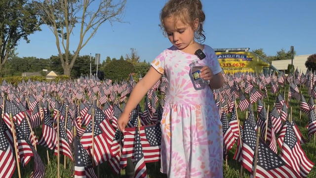 A little girl stands in the field flags, her fingers on one of the flags 