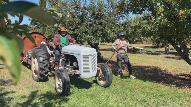 Two farmers water crops at a South Jersey farm 