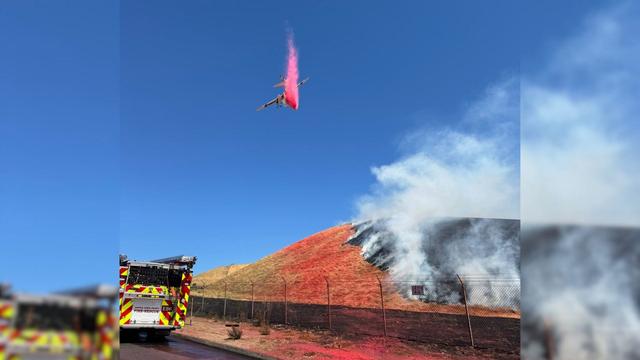 Concord vegetation fire 