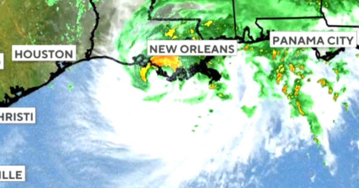 Hurricane Francine makes landfall in Louisiana