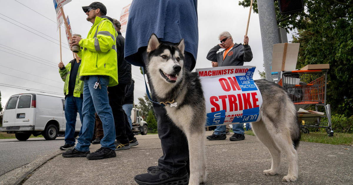 Boeing strike feelings flare as safety guard flashes gun in wooden line altercation