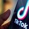 TikTok urges Supreme Court to find law that could lead to ban unconstitutional