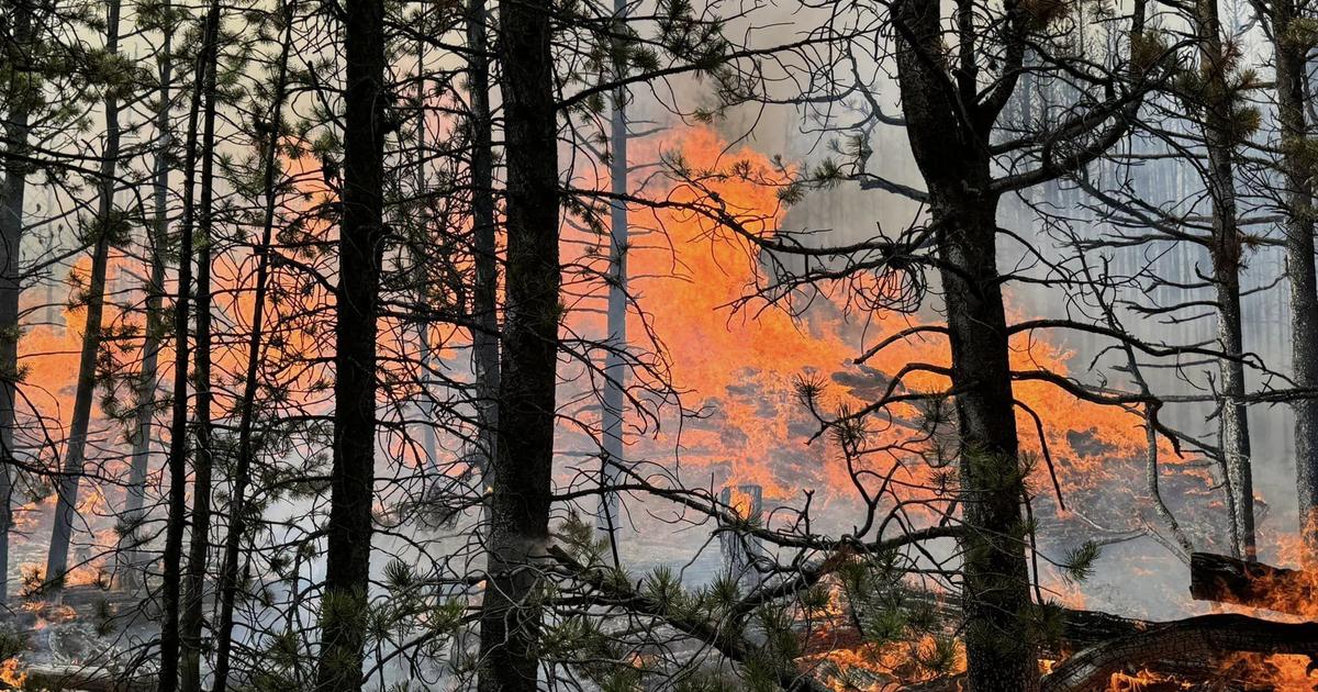 Pearl Fire near Colorado-Wyoming border was human caused, Larimer County sheriff says