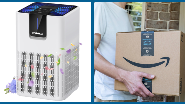 best-amazon-air-purifier-deals-of-2024.png 