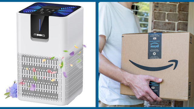 best-amazon-air-purifier-deals-of-2024.png