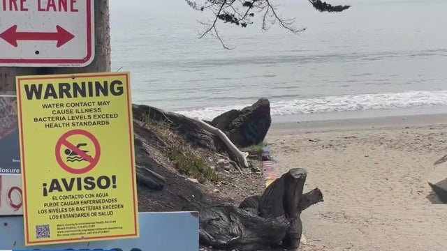 Bolinas Beach Marin County